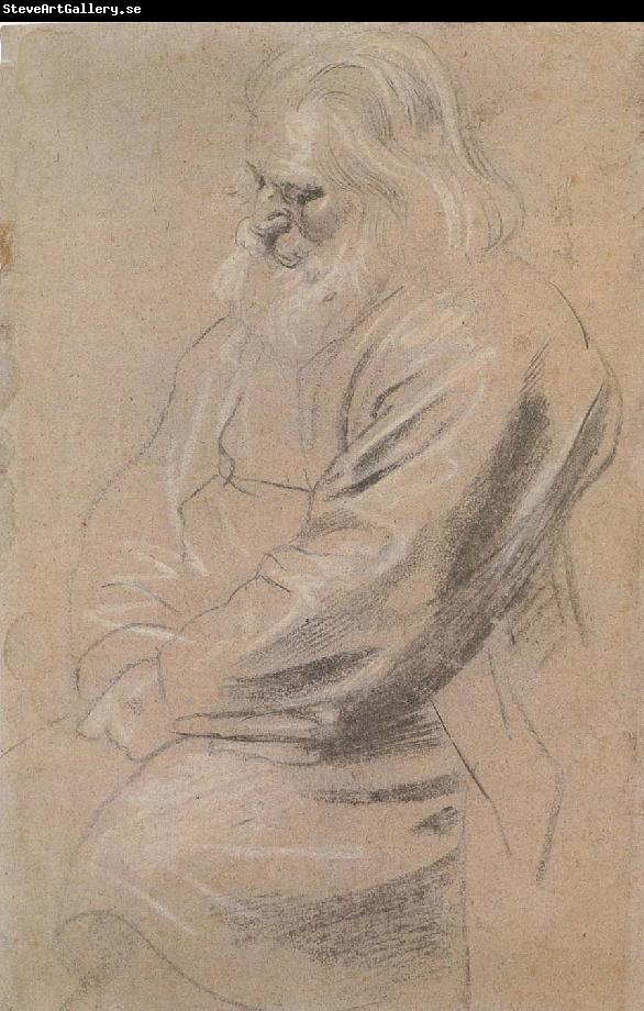 Peter Paul Rubens Sitting  old man